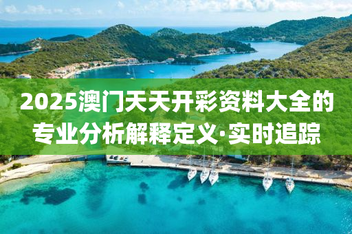 2025澳門天天開彩資料大全的專業(yè)分析解釋定義·實時追蹤