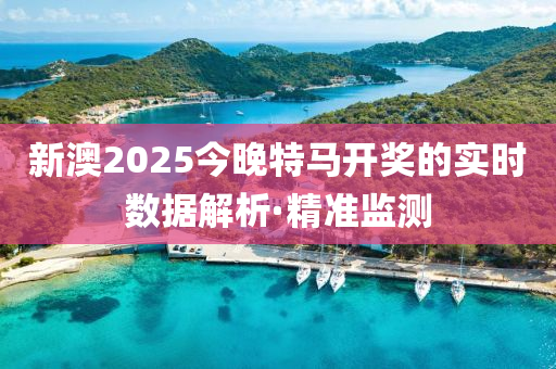 新澳2025今晚特馬開獎的實(shí)時數(shù)據(jù)解析·精準(zhǔn)監(jiān)測
