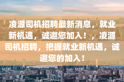 凌源司機招聘最新消息，就業(yè)新機遇，誠邀您加入！，凌源司機招聘，把握就業(yè)新機遇，誠邀您的加入！