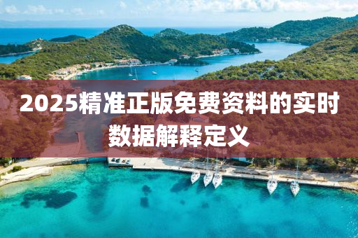 2025精準(zhǔn)正版免費資料的實時數(shù)據(jù)解釋定義