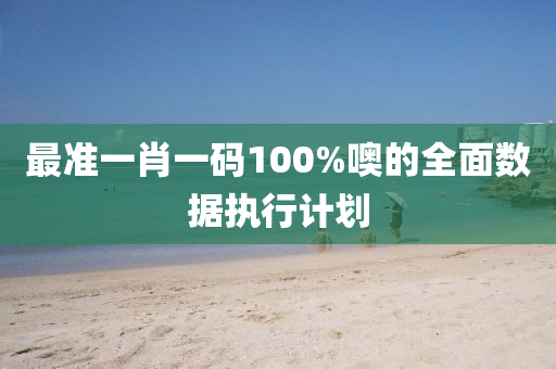 最準(zhǔn)一肖一碼100%噢的全面數(shù)據(jù)執(zhí)行計(jì)劃
