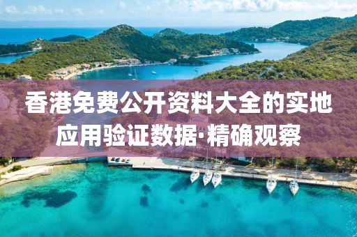 香港免費公開資料大全的實地應(yīng)用驗證數(shù)據(jù)·精確觀察