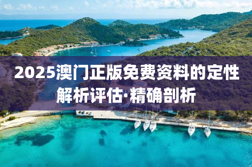 2025澳門正版免費(fèi)資料的定性解析評(píng)估·精確剖析