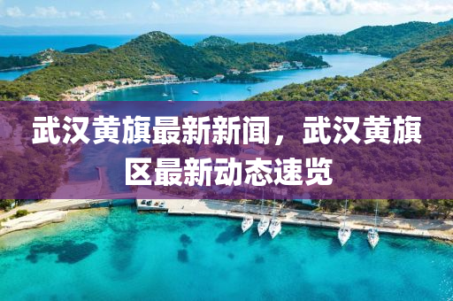 武漢黃旗最新新聞，武漢黃旗區(qū)最新動態(tài)速覽