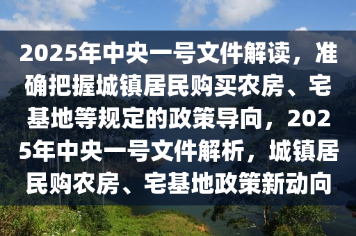 2025年中央一號(hào)文件解讀，準(zhǔn)確把握城鎮(zhèn)居民購(gòu)買農(nóng)房、宅基地等規(guī)定的政策導(dǎo)向，2025年中央一號(hào)文件解析，城鎮(zhèn)居民購(gòu)農(nóng)房、宅基地政策新動(dòng)向
