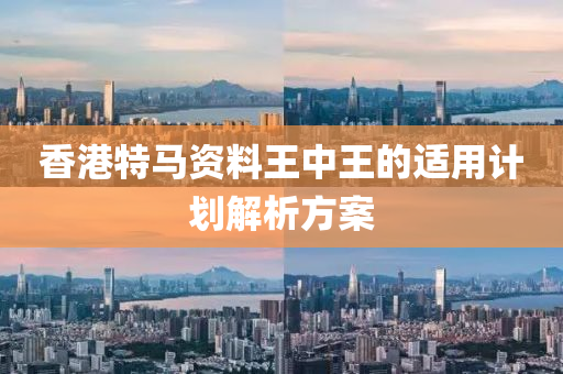 香港特馬資料王中王的適用計劃解析方案