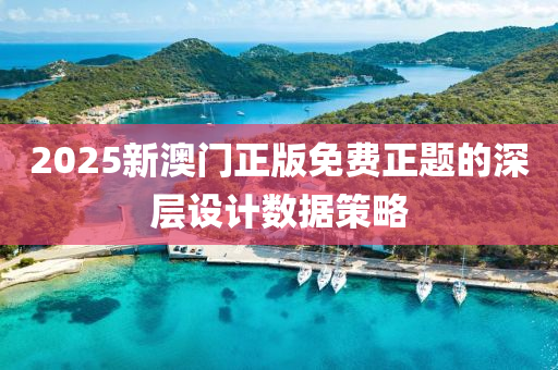 2025新澳門正版免費正題的深層設計數(shù)據(jù)策略