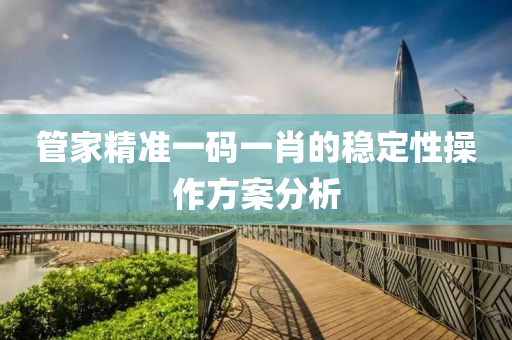 管家精準(zhǔn)一碼一肖的穩(wěn)定性操作方案分析