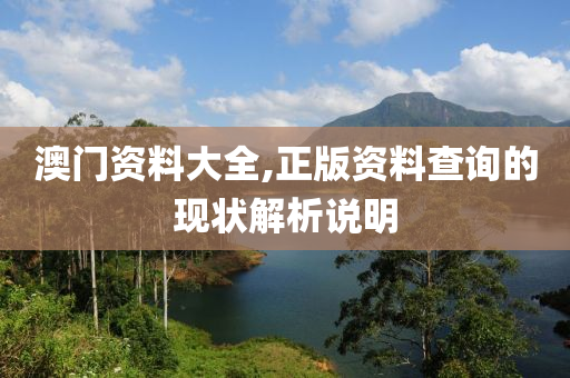 澳門資料大全,正版資料查詢的現(xiàn)狀解析說(shuō)明