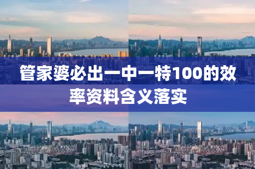 管家婆必出一中一特100的效率資料含義落實(shí)