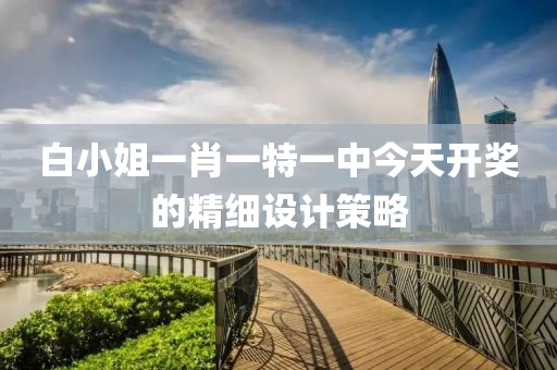 白小姐一肖一特一中今天開獎的精細(xì)設(shè)計策略