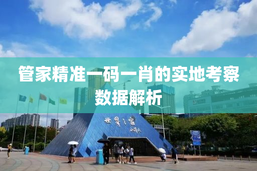 管家精準(zhǔn)一碼一肖的實地考察數(shù)據(jù)解析