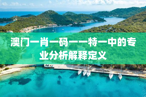 澳門一肖一碼一一特一中的專業(yè)分析解釋定義