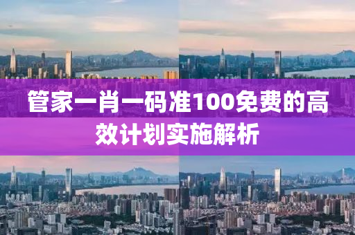 管家一肖一碼準(zhǔn)100免費的高效計劃實施解析