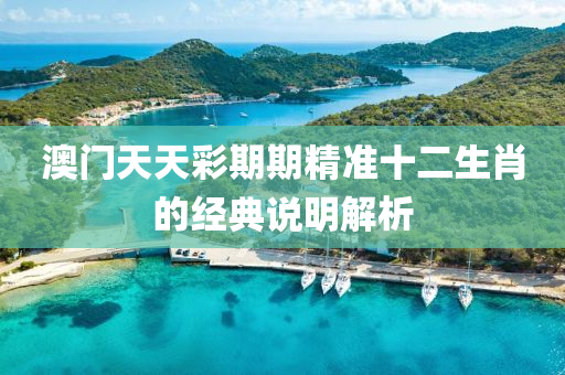 澳門天天彩期期精準(zhǔn)十二生肖的經(jīng)典說明解析