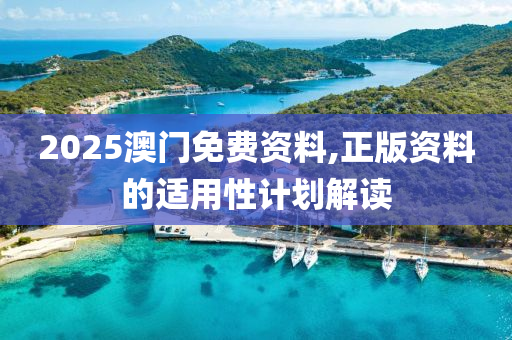 2025澳門免費(fèi)資料,正版資料的適用性計(jì)劃解讀
