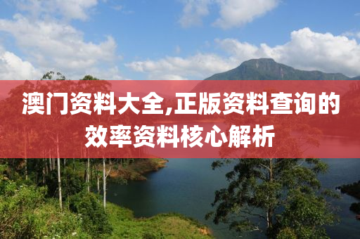 澳門資料大全,正版資料查詢的效率資料核心解析