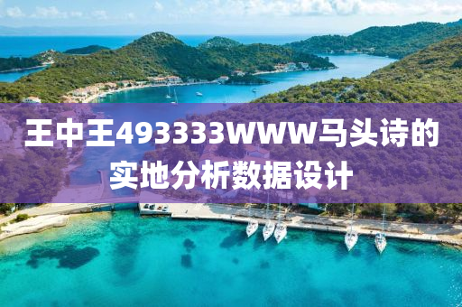 王中王493333WWW馬頭詩的實(shí)地分析數(shù)據(jù)設(shè)計(jì)