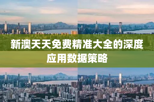 新澳天天免費精準(zhǔn)大全的深度應(yīng)用數(shù)據(jù)策略