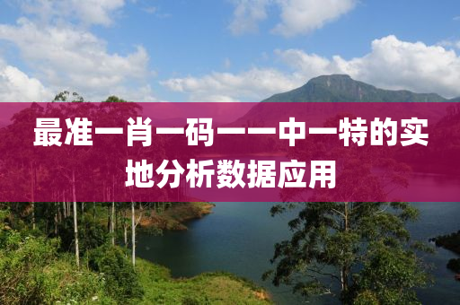 最準一肖一碼一一中一特的實地分析數(shù)據(jù)應用