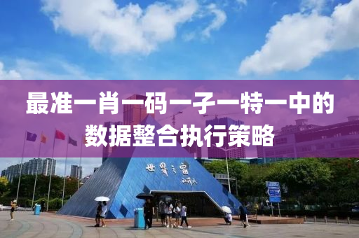 最準一肖一碼一孑一特一中的數(shù)據(jù)整合執(zhí)行策略