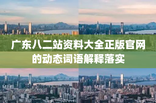 廣東八二站資料大全正版官網(wǎng)的動態(tài)詞語解釋落實(shí)