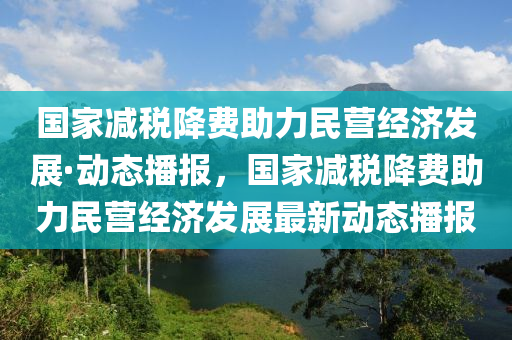 國家減稅降費(fèi)助力民營經(jīng)濟(jì)發(fā)展·動態(tài)播報(bào)，國家減稅降費(fèi)助力民營經(jīng)濟(jì)發(fā)展最新動態(tài)播報(bào)