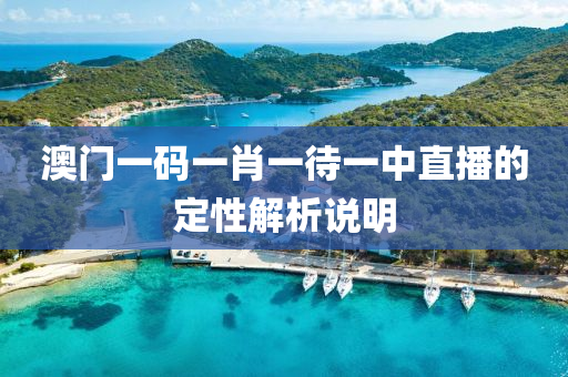 澳門一碼一肖一待一中直播的定性解析說明