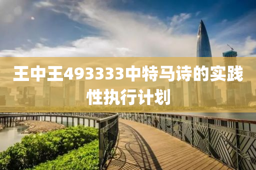 王中王493333中特馬詩的實踐性執(zhí)行計劃