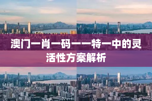 澳門一肖一碼一一特一中的靈活性方案解析
