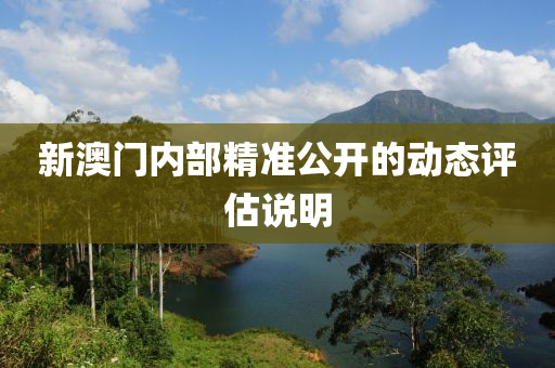 新澳門內(nèi)部精準(zhǔn)公開的動態(tài)評估說明