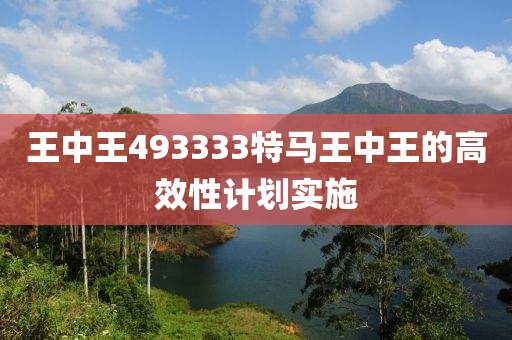 王中王493333特馬王中王的高效性計(jì)劃實(shí)施