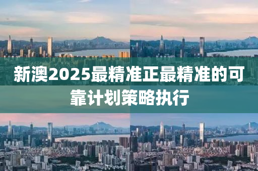 新澳2025最精準(zhǔn)正最精準(zhǔn)的可靠計(jì)劃策略執(zhí)行