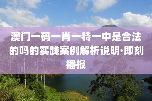 澳門一碼一肖一特一中是合法的嗎的實(shí)踐案例解析說明·即刻播報(bào)