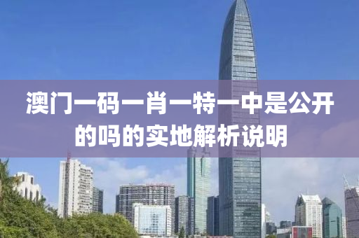 澳門一碼一肖一特一中是公開的嗎的實地解析說明