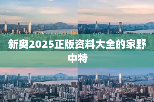 新奧2025正版資料大全的家野中特