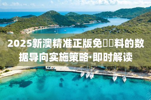 2025新澳精準(zhǔn)正版免費(fèi)資料的數(shù)據(jù)導(dǎo)向?qū)嵤┎呗浴ぜ磿r(shí)解讀