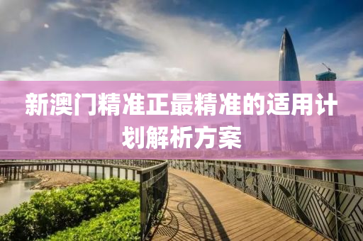 新澳門精準正最精準的適用計劃解析方案