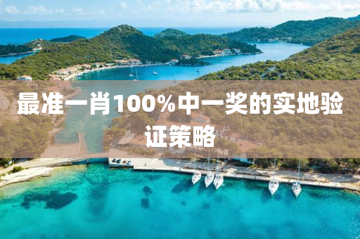 最準(zhǔn)一肖100%中一獎(jiǎng)的實(shí)地驗(yàn)證策略