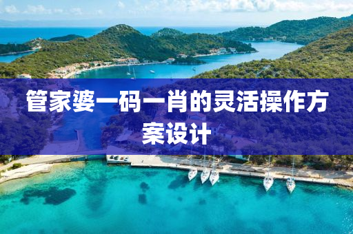管家婆一碼一肖的靈活操作方案設(shè)計(jì)