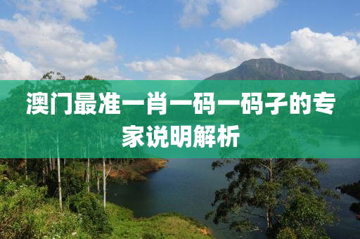 澳門最準(zhǔn)一肖一碼一碼孑的專家說(shuō)明解析