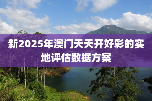 新2025年澳門天天開好彩的實(shí)地評估數(shù)據(jù)方案