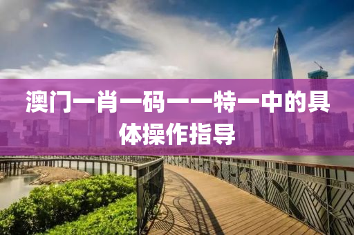 澳門一肖一碼一一特一中的具體操作指導(dǎo)
