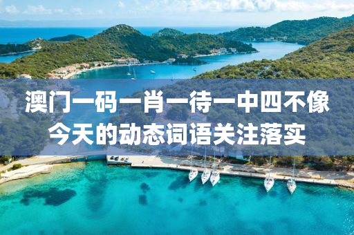 澳門一碼一肖一待一中四不像今天的動(dòng)態(tài)詞語(yǔ)關(guān)注落實(shí)