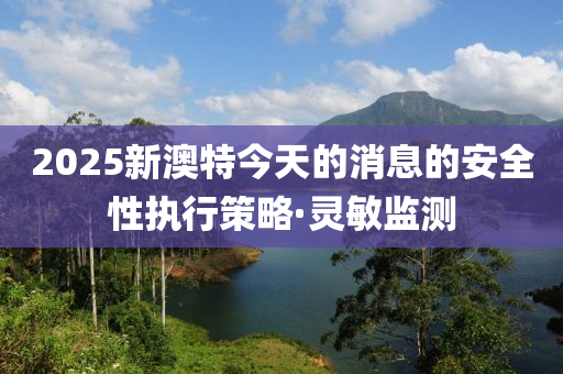 2025新澳特今天的消息的安全性執(zhí)行策略·靈敏監(jiān)測