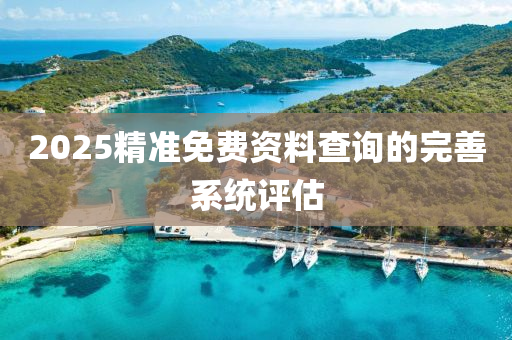 2025精準免費資料查詢的完善系統(tǒng)評估