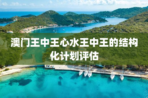 澳門王中王心水王中王的結(jié)構(gòu)化計劃評估