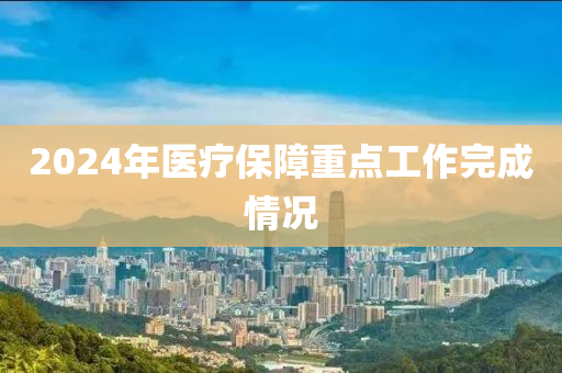 2024年醫(yī)療保障重點工作完成情況