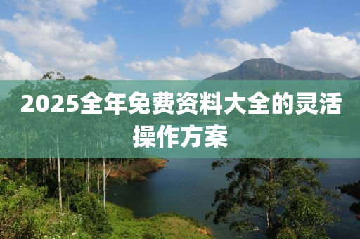2025全年免費(fèi)資料大全的靈活操作方案