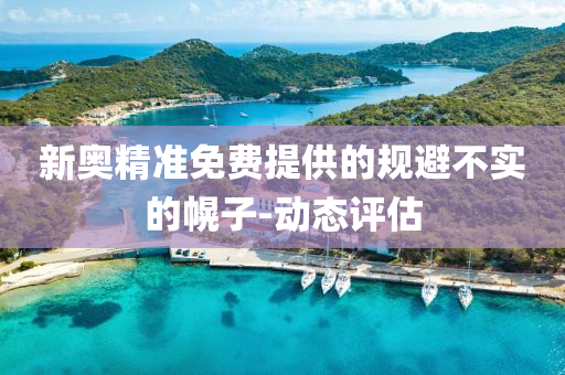 新奧精準(zhǔn)免費(fèi)提供的規(guī)避不實(shí)的幌子-動(dòng)態(tài)評(píng)估
